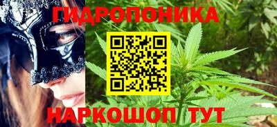 молекула духа Лесосибирск