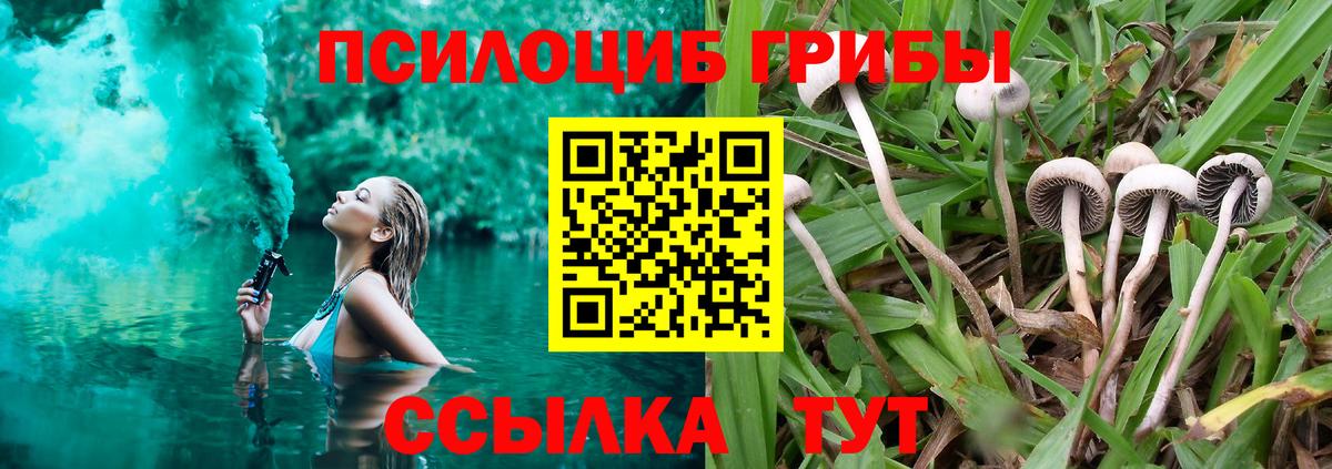 Будённовск  Псилоцибиновые грибы GOLDEN TEACHER  Вход с VPN 